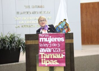 Agresores sexuales y deudores alimentarios no podrán ocupar cargos públicos