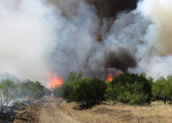 Combaten incendio en Texas