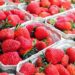 EU investiga casos de Hepatitis A causados por fresas importadas desde Baja California