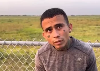 Agarran a “Coyote” ayudando a migrantes a escalar el muro fronterizo con una escalera
