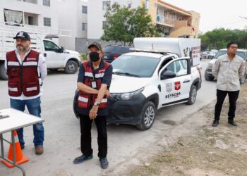 Cuida a tus mascotas de la ola de calor