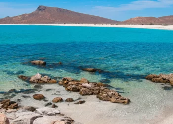 Se registra sismo de magnitud 6.4 en Baja California Sur