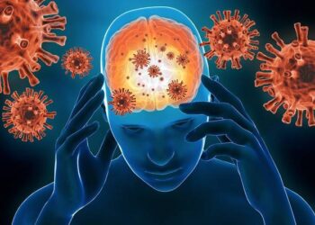 Eleva SST a seis el número de pacientes infectados con el hongo fusarium solani