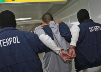 Detiene Interpol a 14 terroristas