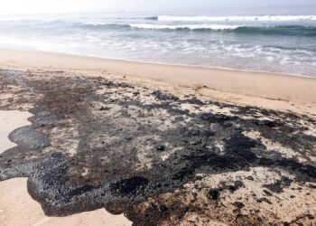 Derrame de petróleo de Ek Balam alcanzó más de 400 km de extensión, denuncian expertos