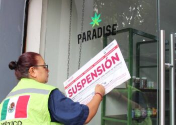 Cofepris asegura productos de cannabis y suspende tienda de empresa donde Fox es socio