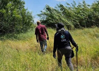 En cuatro días, encuentran 27 cadáveres en fosas clandestinas de Tamaulipas