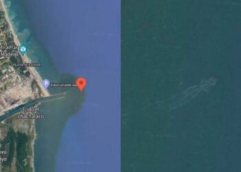 Hallan otro “monstruo” marino en playa de Tamaulipas con Google Maps, “parece un dragón”
