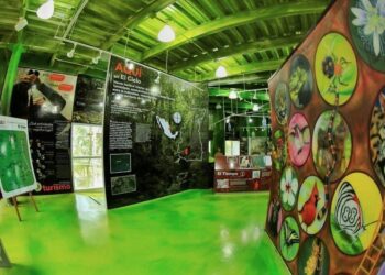 Disfruta las maravillas naturales en el Parque Ecológico Biósfera El Cielo