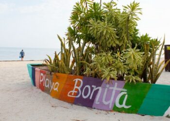 ¿Vas de vacaciones? Advierte COFEPRIS sobre 14 playas mexicanas con heces fecales