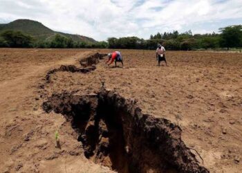 ¿Un nuevo mar en África? Falla geológica podría ser el comienzo de un nuevo océano