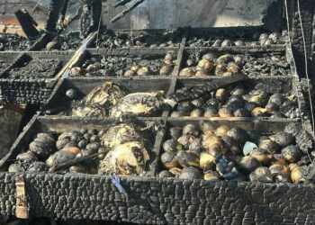 Negocio es arrasado por voraz incendio