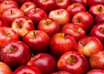 ¿Una manzana diaria realmente nos salva?