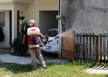 El Polvorín y otras 11 colonias de Ciudad Madero que registran casos confirmados de dengue