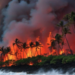 80 fallecidos por incendios en Hawai
