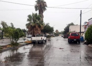 Mantiene Gobierno de Reynosa vigilancia sobre desplazamiento de Harold