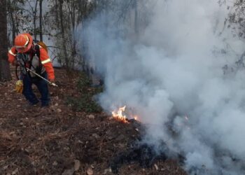 Contribuye SEDUMA en el combate de incendios forestales
