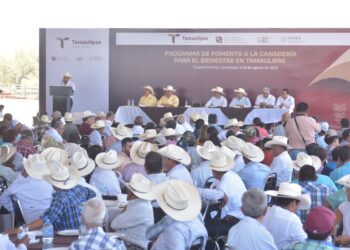 Arranca programa de Fomento a la Ganadería para el Bienestar en Tamaulipas