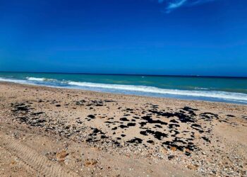 Inspeccionan SEDUMA y PEMEX presencia de hidrocarburo en playas de Tamaulipas