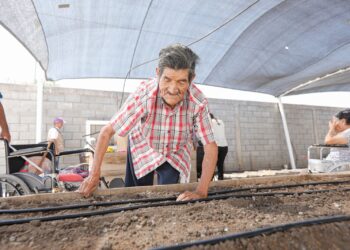 Rehabilita DIF Tamaulipas huerto comunitario en Casa Hogar del Adulto Mayor