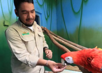 Entrega la Comisión de Parques y Biodiversidad uniformes y calzado