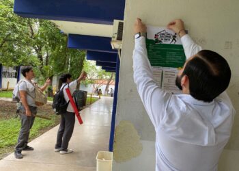 ¡Última llamada! Transparencia en Corto, entra en su fase decisiva