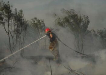 Incendios intencionales dañan la salud y al medio ambiente