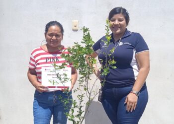 Premia Reynosa propuestas ecológicas ciudadanas