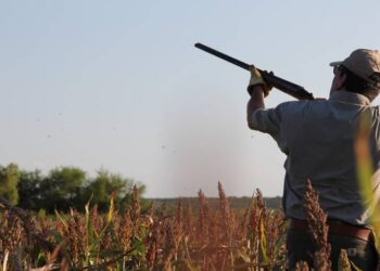 Arranca en Tamaulipas temporada de “Caza de Aves Migratorias 2023-2024”