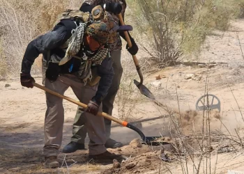 12 cuerpos encontrados en una fosa clandestina en Baja California