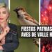 Fiestas patrias matan aves en Valle Hermoso