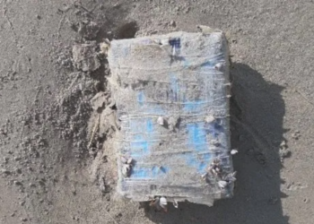 Patrulla fronteriza encuentra 26 ladrillos de coca en playas texanas