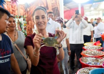 Sheinbaum regresa este viernes a Tampico