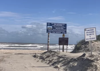 Grupos ambientalistas buscan prohibir lanzamientos de SpaceX