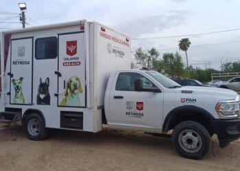 Busca alcaldía de Reynosa mejor calidad de vida para las mascotas y animales callejeros