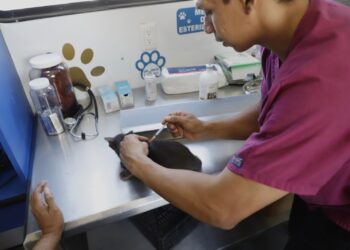 Impulsa Gobierno de Reynosa el cuidado animal