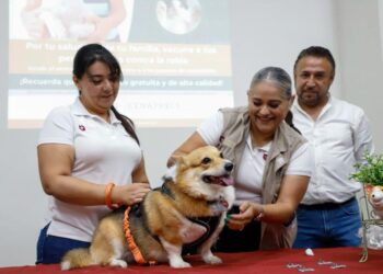 Inauguran Estado y Municipio Jornada Nacional de Vacunación Antirrábica 2023 en Reynosa