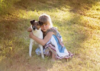 Condenados por abuso animal no podrán ser dueños de mascotas en Texas