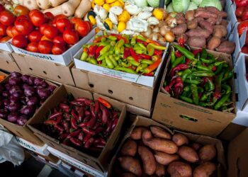 Vigorizan exportación agropecuaria