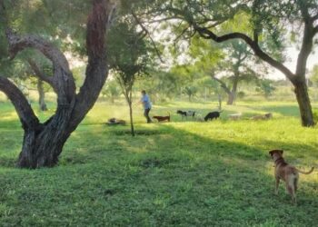 Exhorta Gobierno de Reynosa a cuidar medio ambiente y emitir denuncias