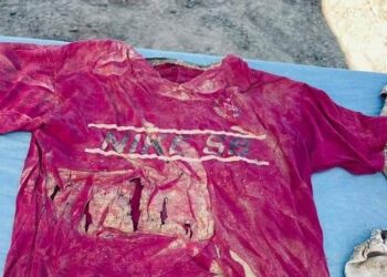 Encuentran 2 Cadáveres en Fosas Clandestinas