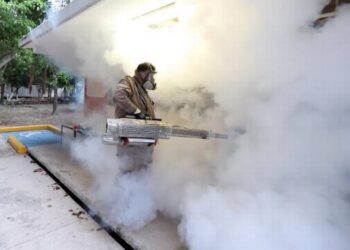 Casos de dengue crecen cuatro veces este año