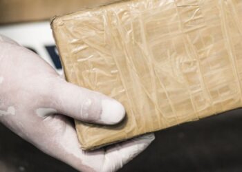 Decomisan más de 8 kilos de cocaína en el puente de Pharr