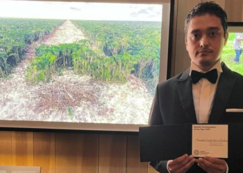 Premian a mexicano por foto que muestra la deforestación que dejó la construcción del Tren Maya