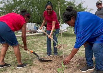 Gobierno de Reynosa reforesta y embellece Plaza de San Valentín