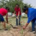 Gobierno de Reynosa reforesta y embellece Plaza de San Valentín