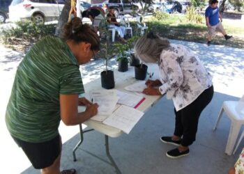 Mantiene Gobierno de Reynosa línea directa para denuncias