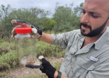 Atiende Unidad de Vigilancia Ambiental denuncia ciudadana