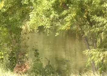 Encuentran cadáver flotando en lago