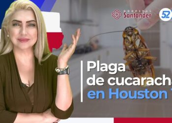 Plaga de cucarachas en Houston